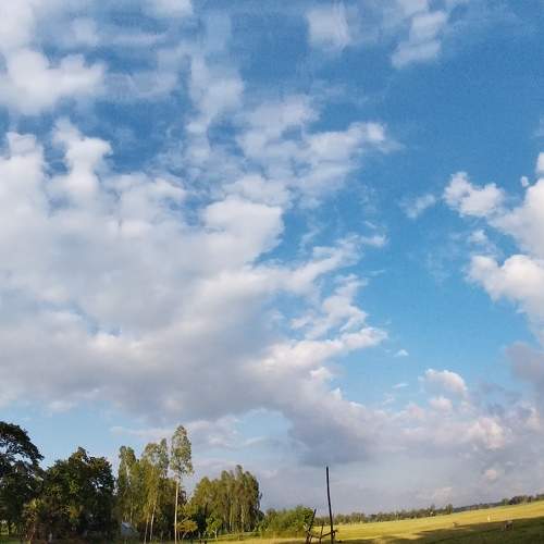 Photo #9253802