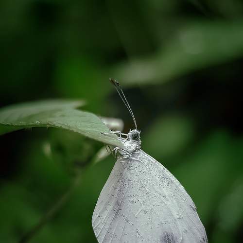 Photo #9254135