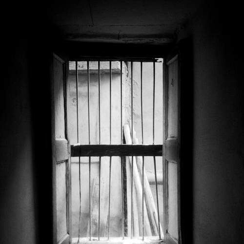 Photo #9254523