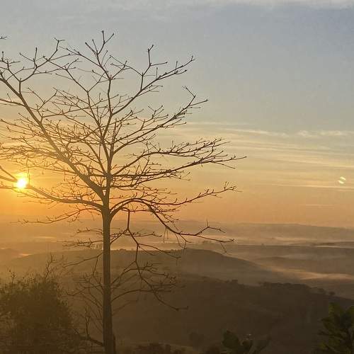 Photo #9254554
