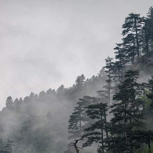 Фотография #9254584