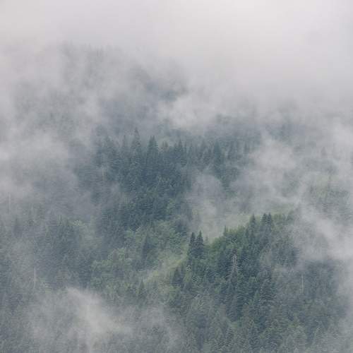 Фотография #9254585