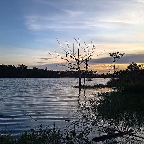 Photo #9255083