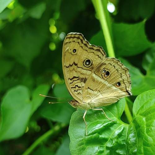 Photo #9256540