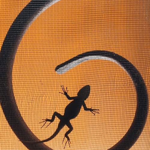 Photo #9256577