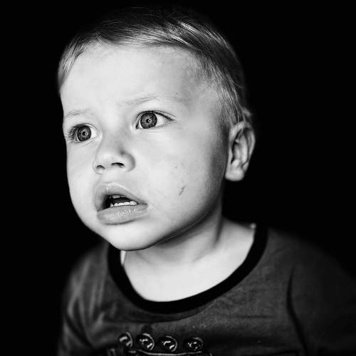 Photo #9258566