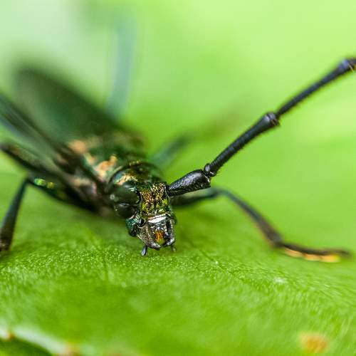 Photo #9258936