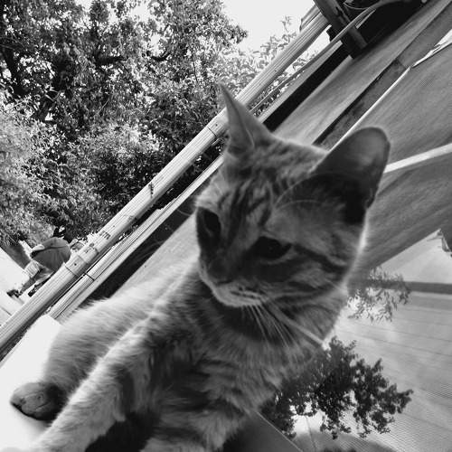 Photo #9262153