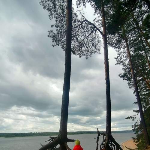 Кама