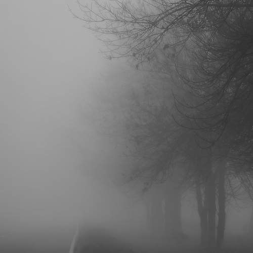 Photo #9262530