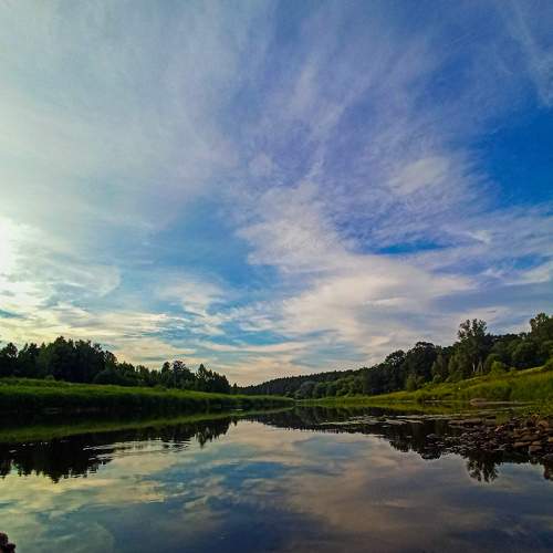 Photo #9262695