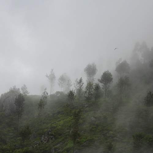 Photo #9262829