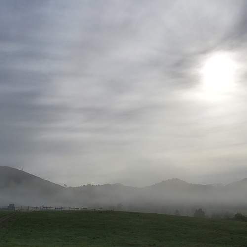 Photo #9264450