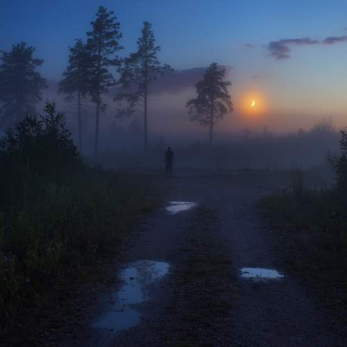 Photo #9264497