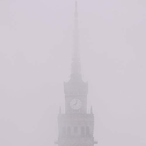 Photo #9264791