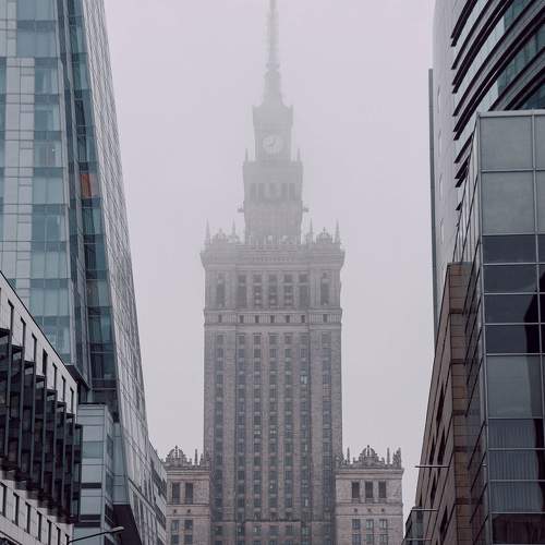 Photo #9264792