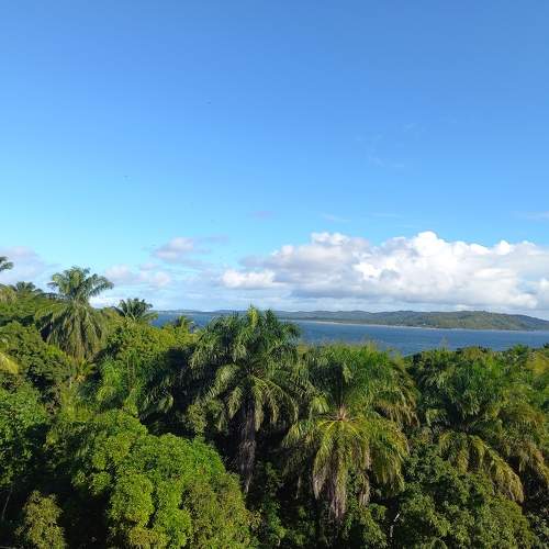 Photo #9265050