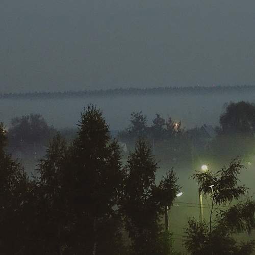 Photo #9265300