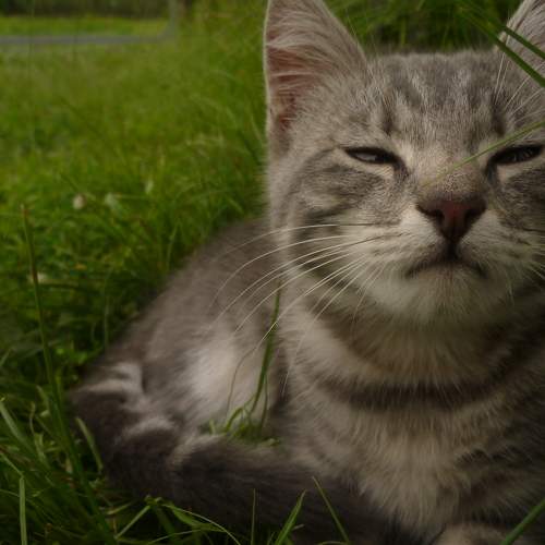 Photo #9265386