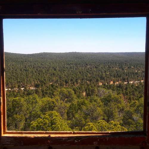 Photo #9265621
