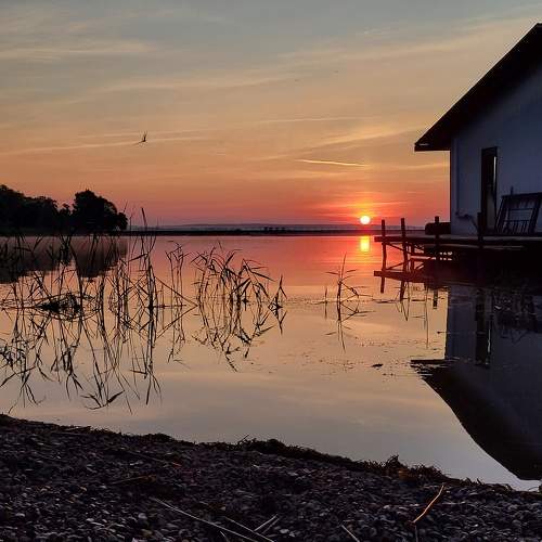 Photo #9266582