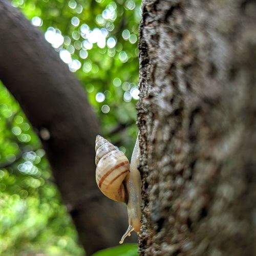 Photo #9266595