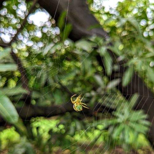 Photo #9266598