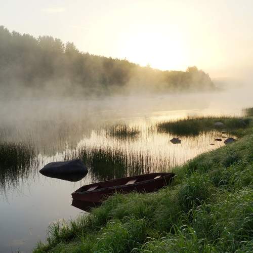 Photo #9266620