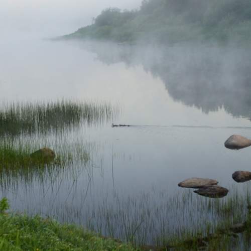 Photo #9266623