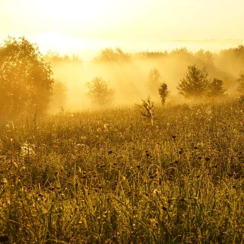 Photo #9266624