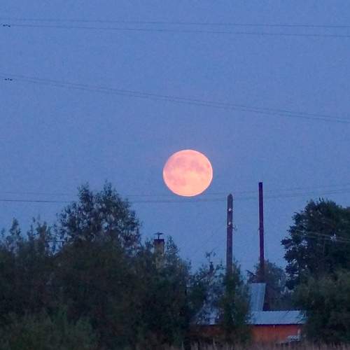 Photo #9266628