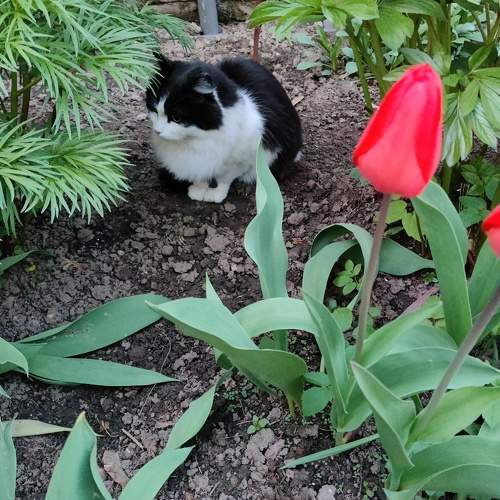 Photo #9266843