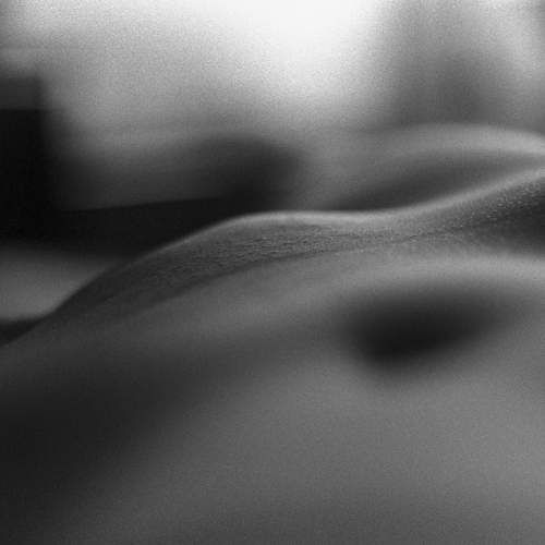 Photo #9266847