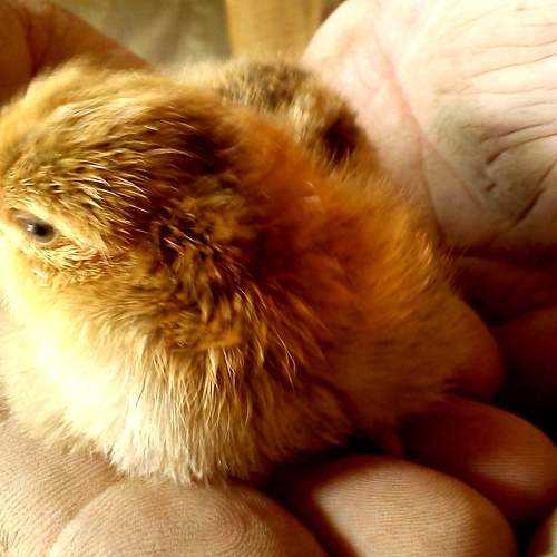 Photo #9267034