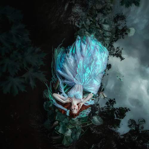Photo #9267174