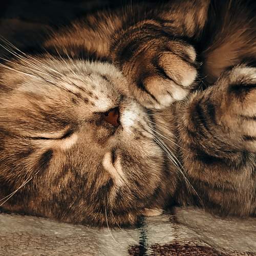 Photo #9267697
