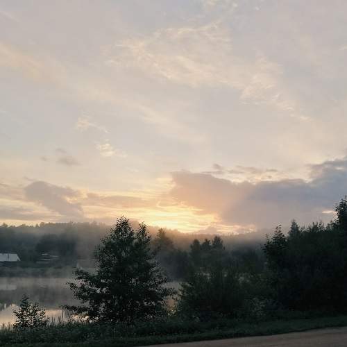 Photo #9268359