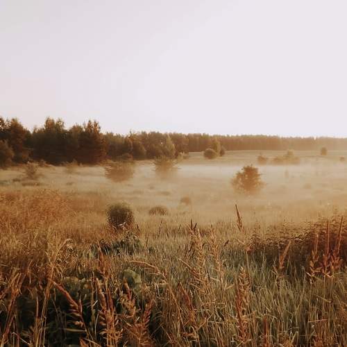 Photo #9268364