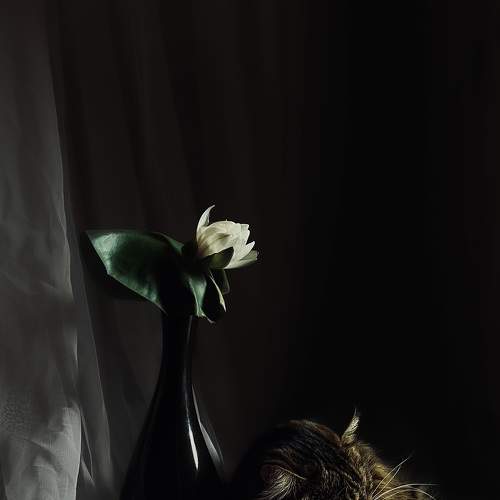 Photo #9268372