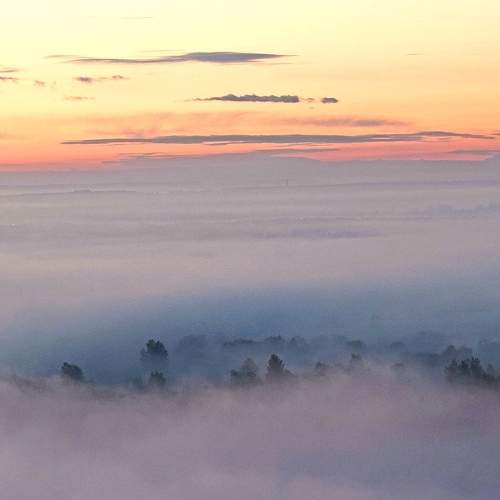Photo #9268545