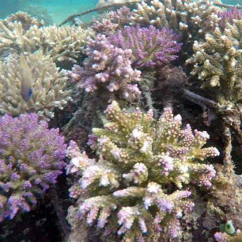 Photo #9268811