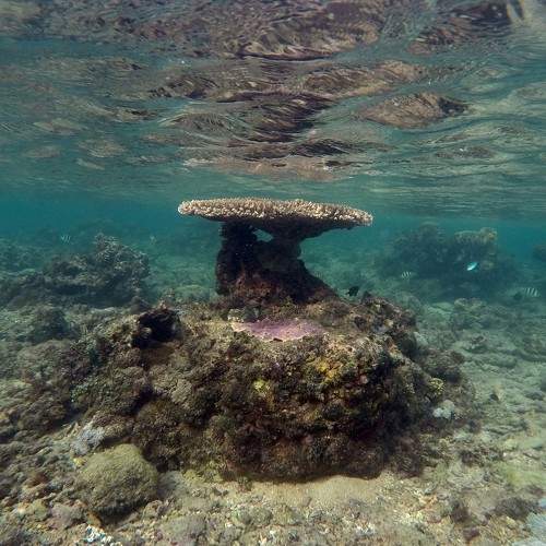 Photo #9268814