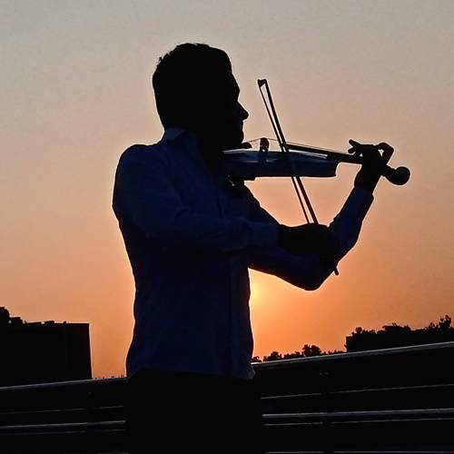 Photo #9269742