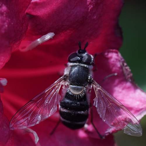 Photo #9269898