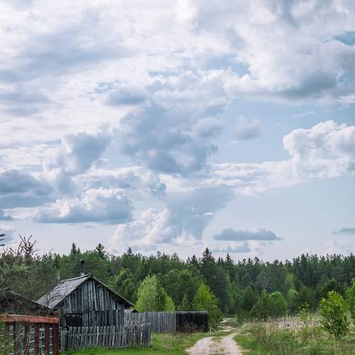 Photo #9270228