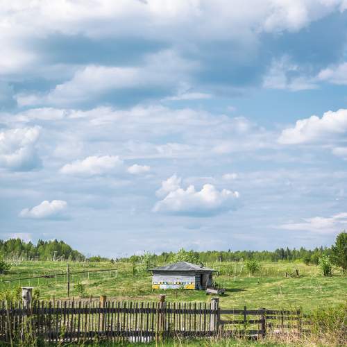Photo #9270229