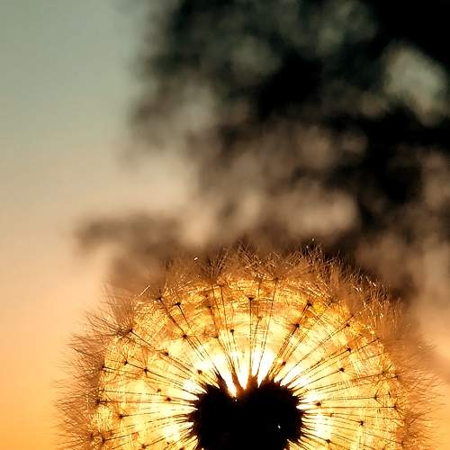 Photo #9270924