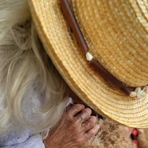 Photo #9271142
