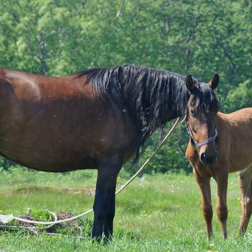 Photo #9271365