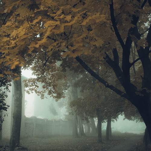 Photo #9271523